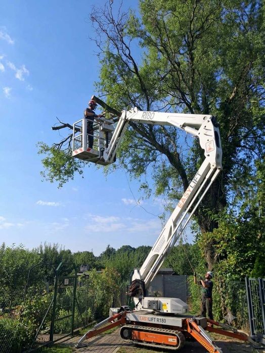 Przycinanie , Usuwanie , Pielęgnacja DRZEW i krzewów