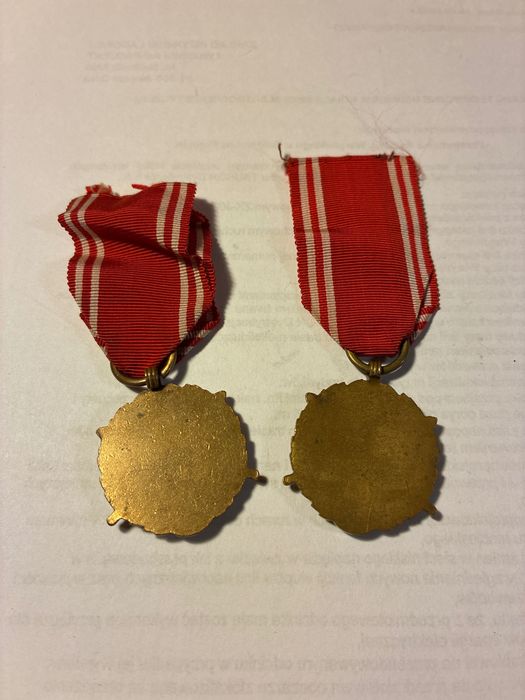 Medal siły zbrojne w służbie ojczyzny
