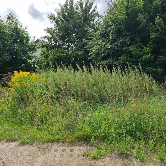 Działka budowlana uzbrojona Nowy Klincz 1016 M2 - Widok 5
