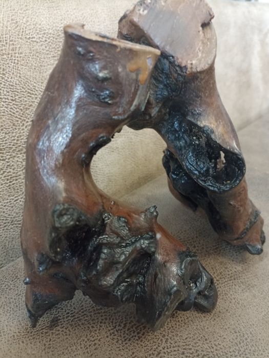 Коряги дуже гарні  для акваріума або для тераріума 2шт 250гр одна .