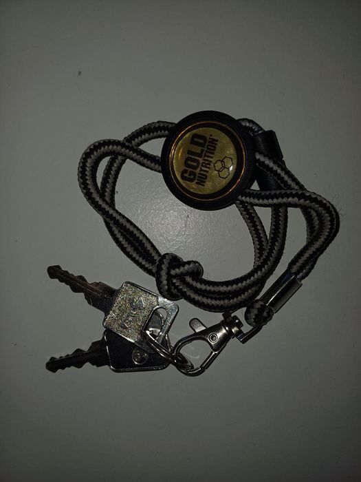 Barras de tejadilho Scenic