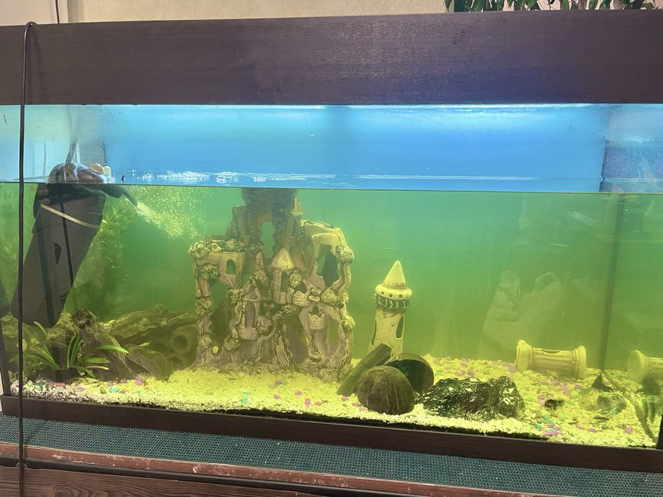 Акваріум 200л київ самовивіз