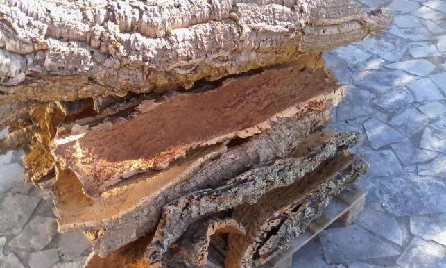 Cortiça virgem - kg