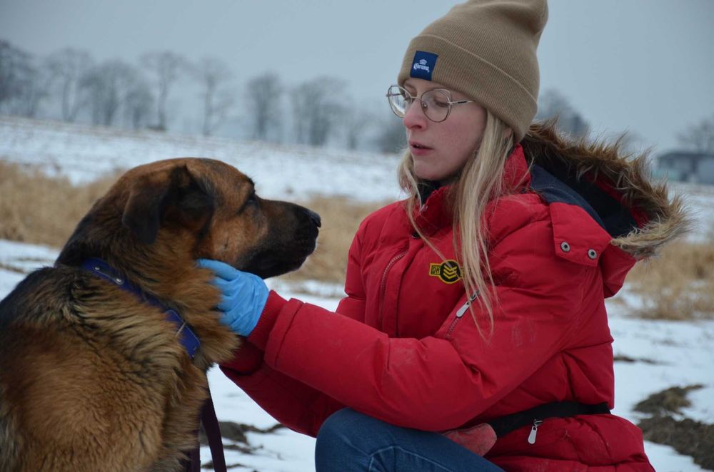 Duży jak Hagrid, czuły jak aniołek – poznaj mnie