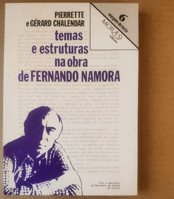 ENSAIOS LITERATURA PORTUGUESA - Livros