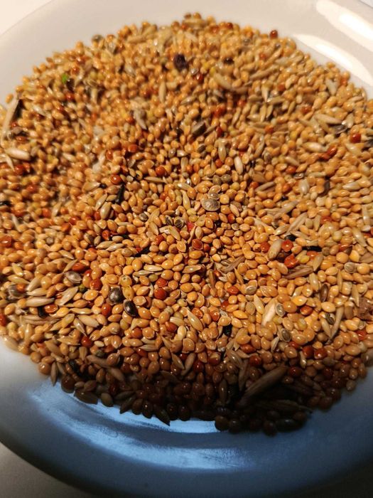 karma pokarm dla papug falistych MDM PF Australian Taste 1kg