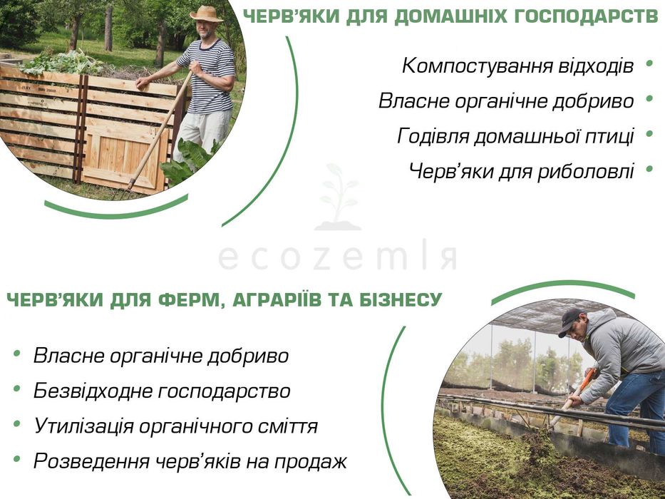 Сім'я 1500шт Черви для біогумусу та рибалки Старатель як каліфорнійскі