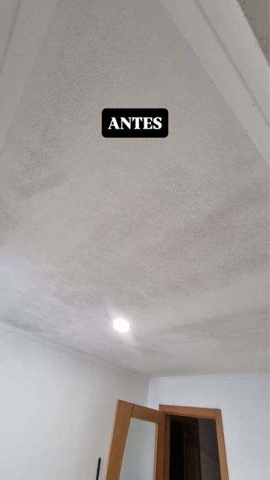 Limpeza de Bolor em Paredes e Tetos | Resultado Visível