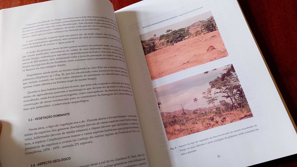 Arqueohistórica Comum de Portugal e Moçambique