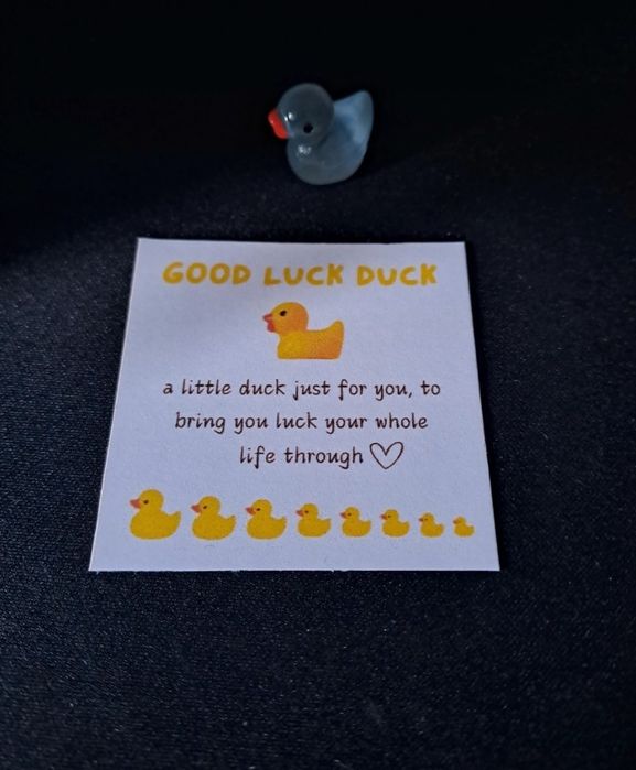 Lucky Duckling64750500810882120