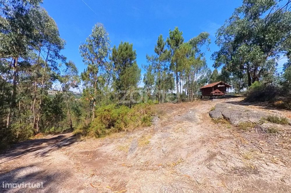 Terreno florestal de 18600 m2 com vistas panorâmicas.