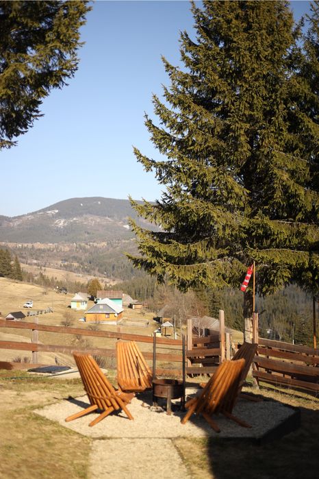 Котеджі в Карпатах