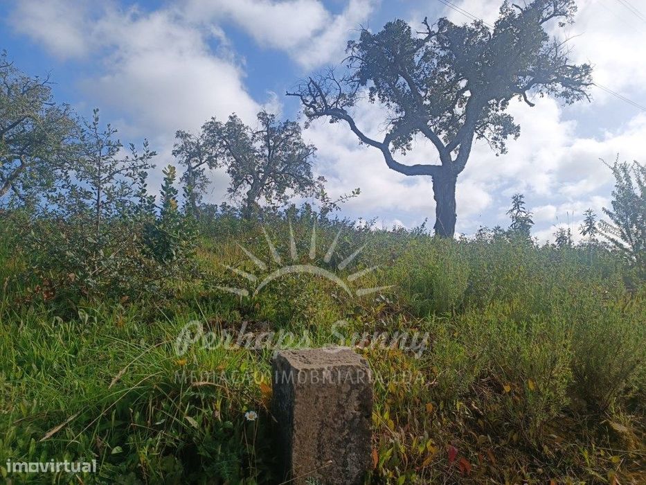 Terreno Rustico São Francisco da Serra