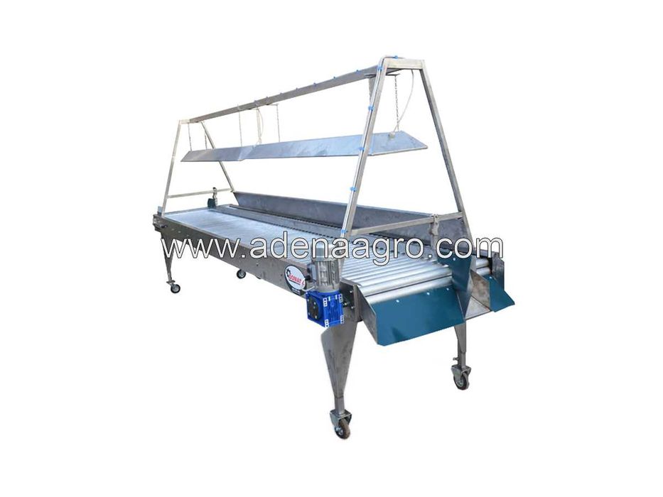 Інспекційний роликовий стіл для картоплі