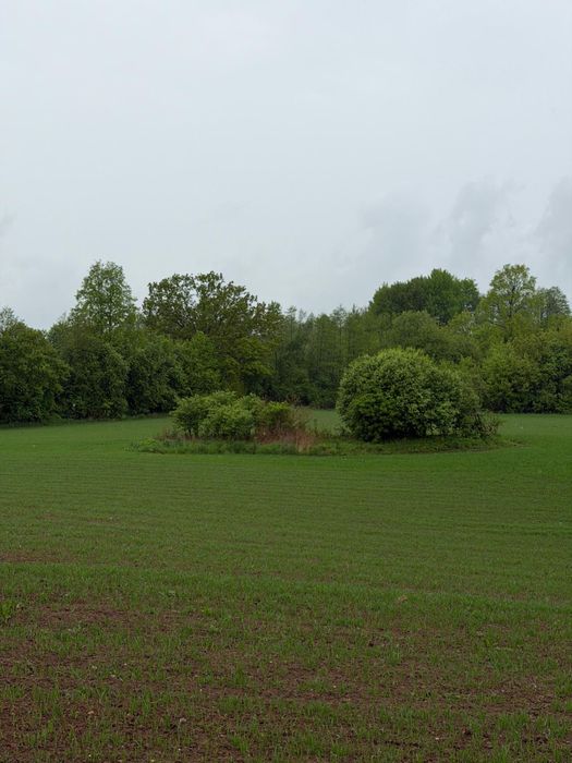 Działka z WZ na dom | 3001 m² | Bakaniuk koło Suwałk - Widok 5