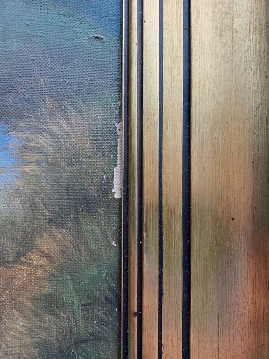 Stary obraz na płótnie sygnowany .