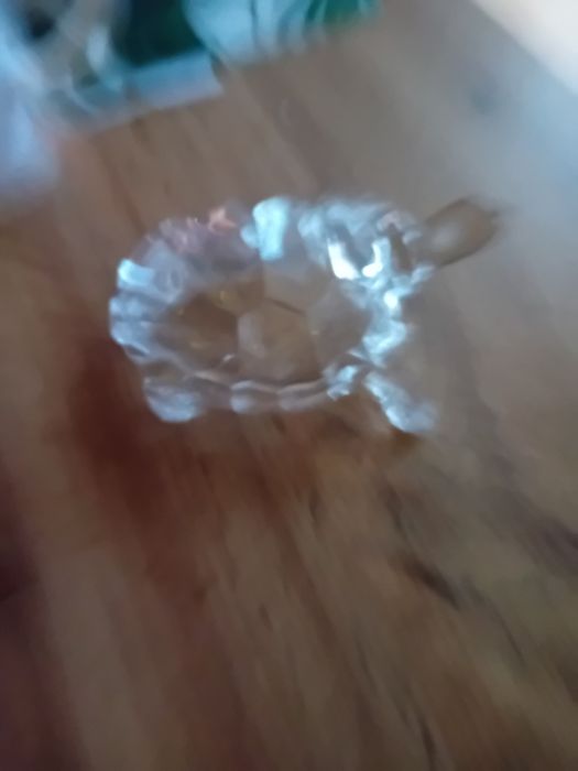 Żułw szklany dla kolekcjonera