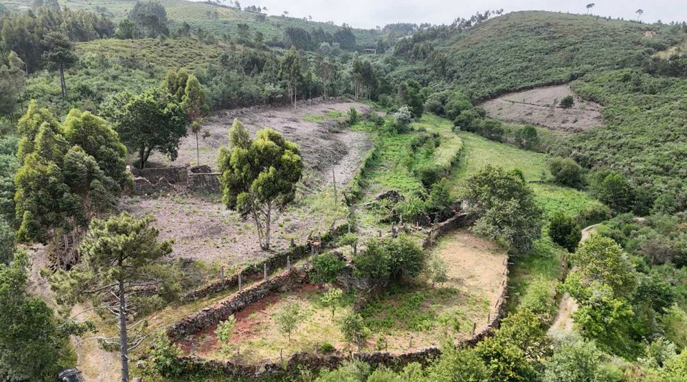 Quinta para construçao e agricultura