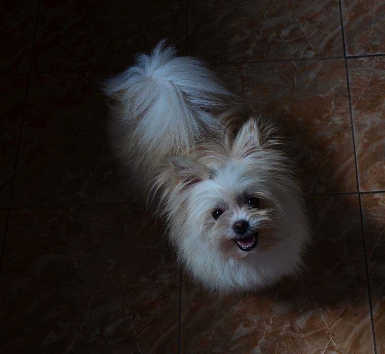 Гарна дівчинка 5 років.