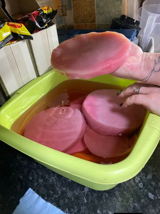 Продаю чайний гриб (комбуча)