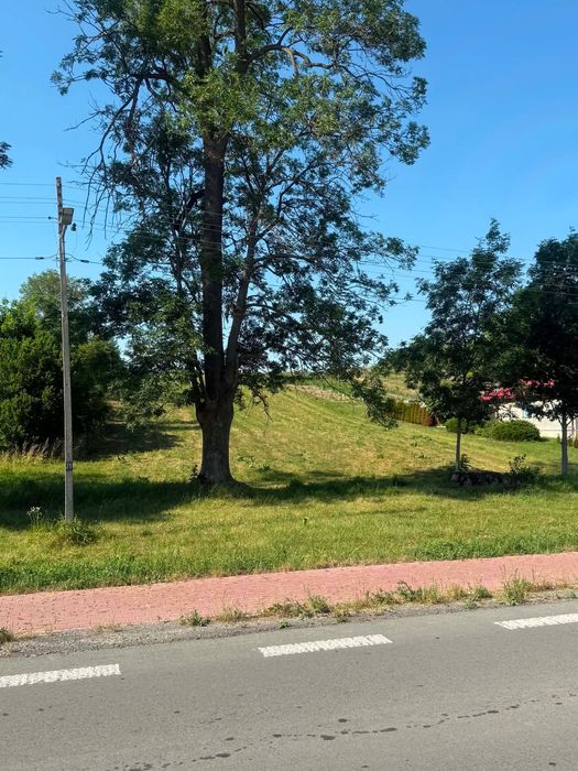 Sprzedam działki - More
