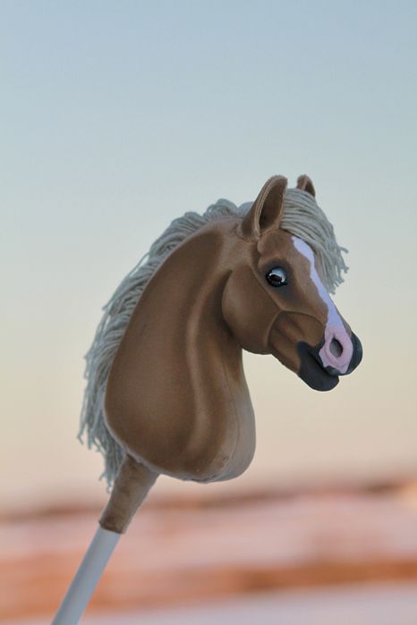 Hobby horse mes propozycje cenowe