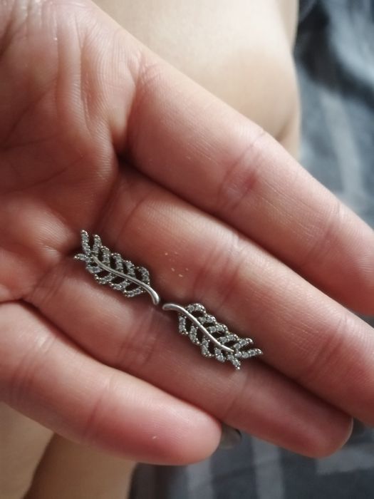 Срібні сережки, кафи