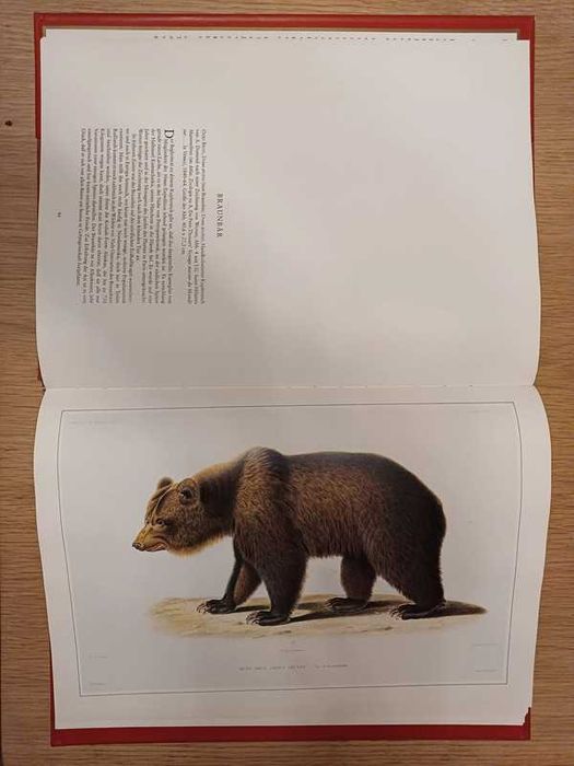 Livro Die Schonsten Natur-Grafiken