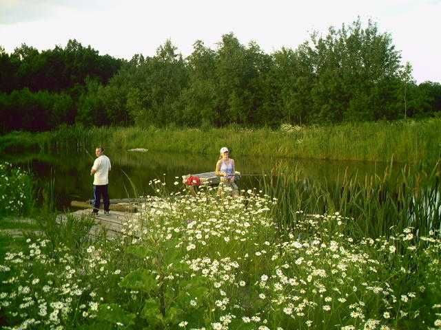 pakiet amur  150szt tołpyga 75szt karp 75szti inne pstrąg lin karaś tołpyga amur