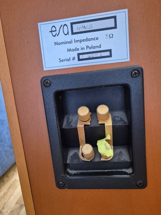Kolumny głośnikowe ESA Vivace