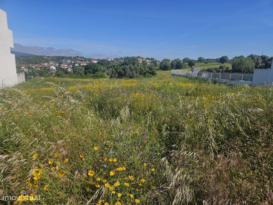 Terreno  Venda em Torres Novas (São Pedro), Lapas e Ribeira Branca,Tor
