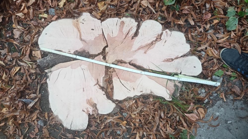 Plastry drzewa suszone i strugane