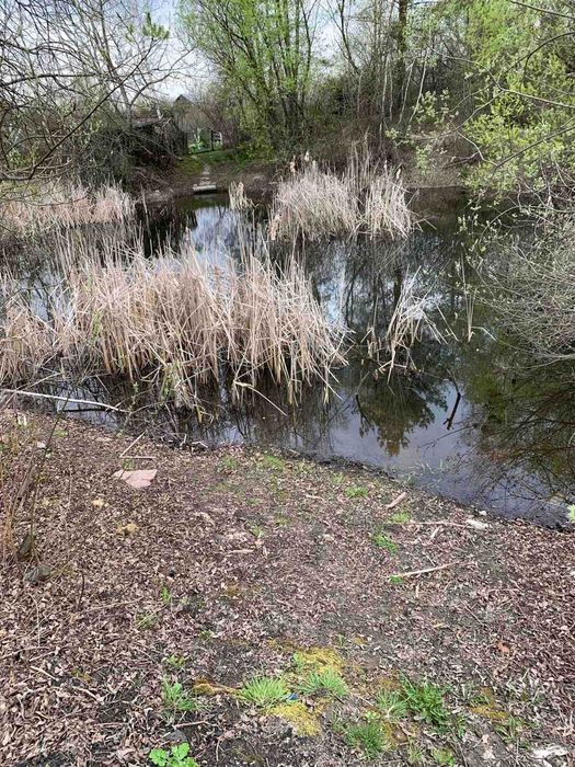 Продаю Дачу  в районі Бровара місто Коростень