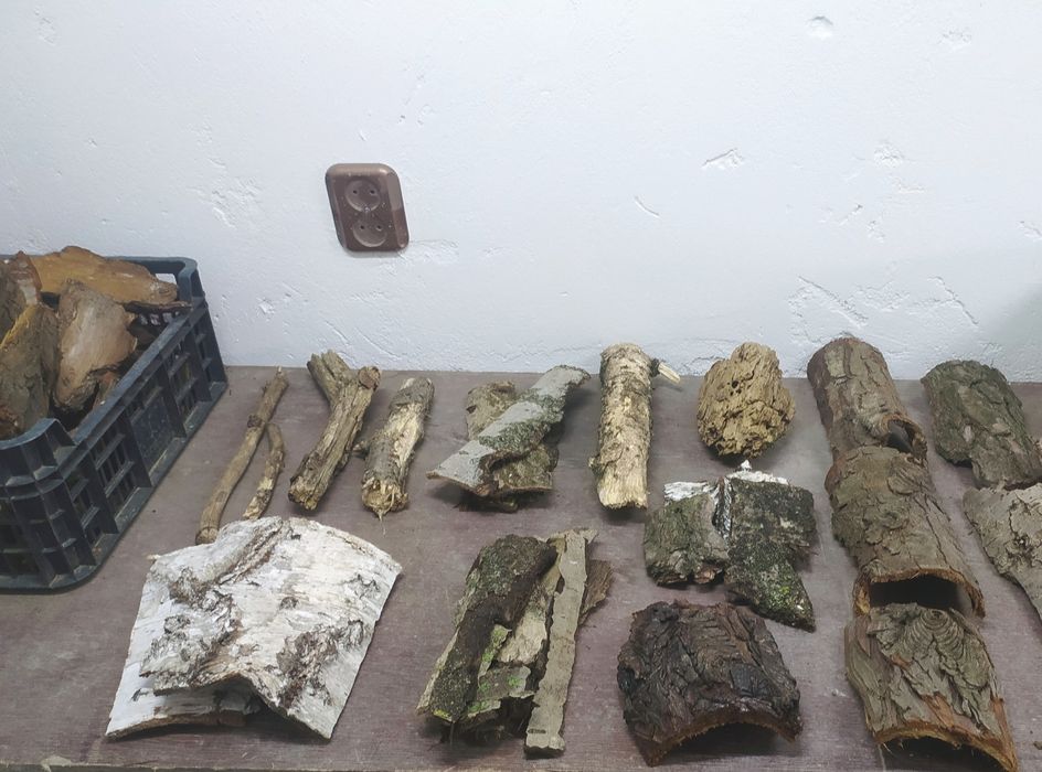 Kora i inne ozdoby do Terarium