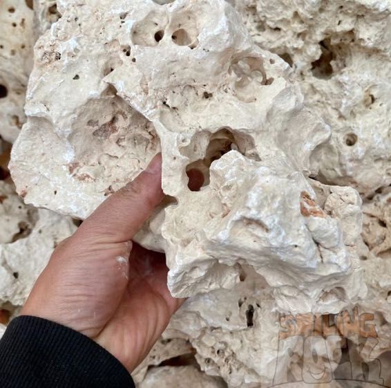 Wapień Filipiński Skałki Dekoracja do Akwarium i Terrarium Malawi