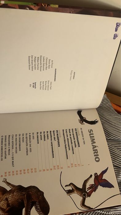 Dokeo Animais 9/12 anos