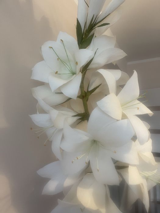 Duza biala lilia z krepiny