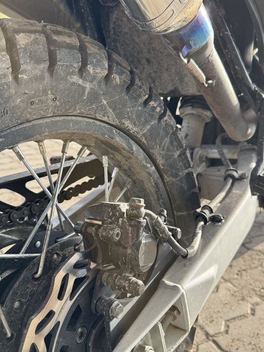 Musstang Challenge GT 250 (2024)