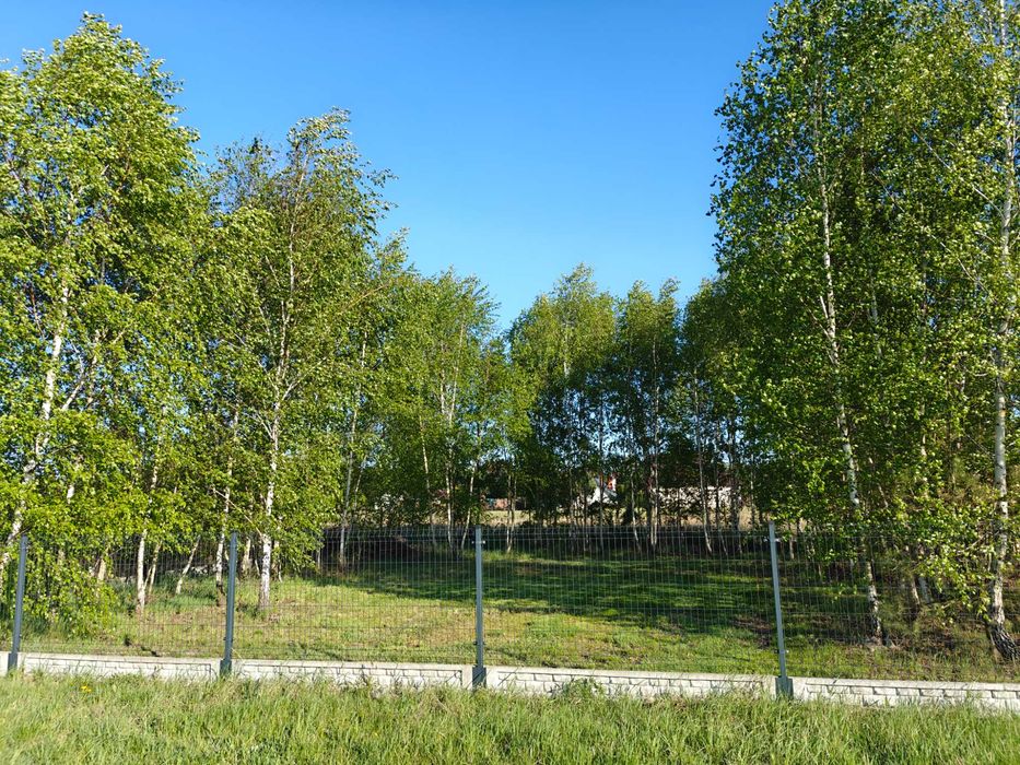 Zdjęcie 5