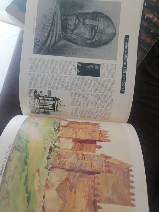 Livro o milagre vimaranense