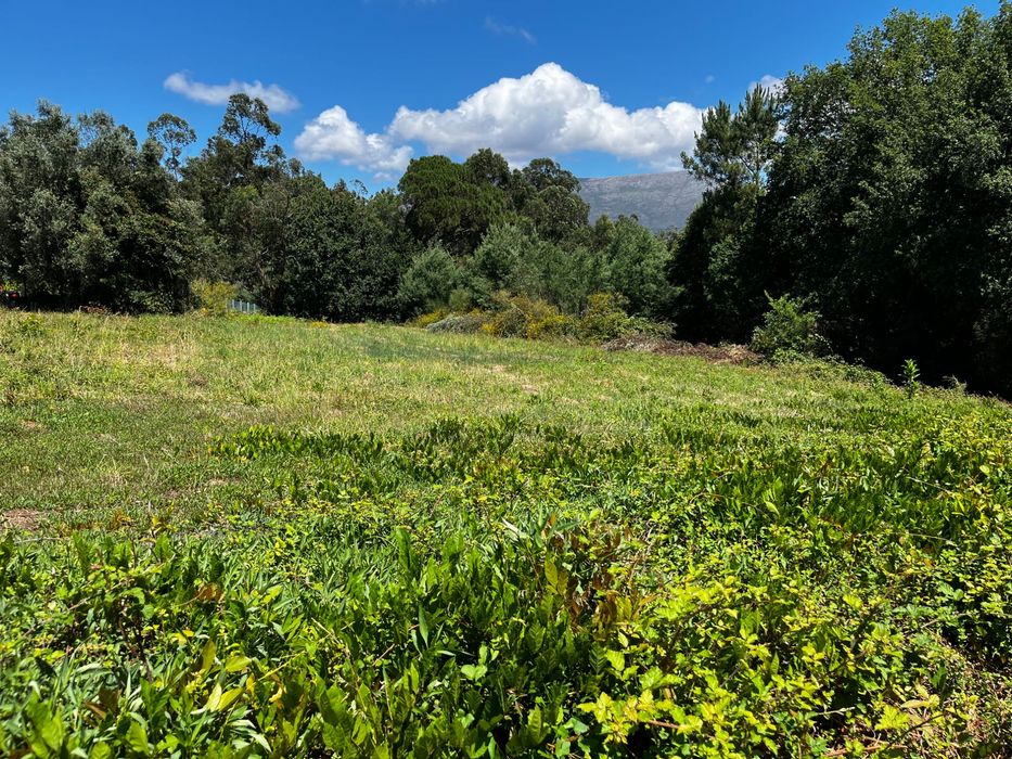 Terreno construção em Vila Mou com 700m2