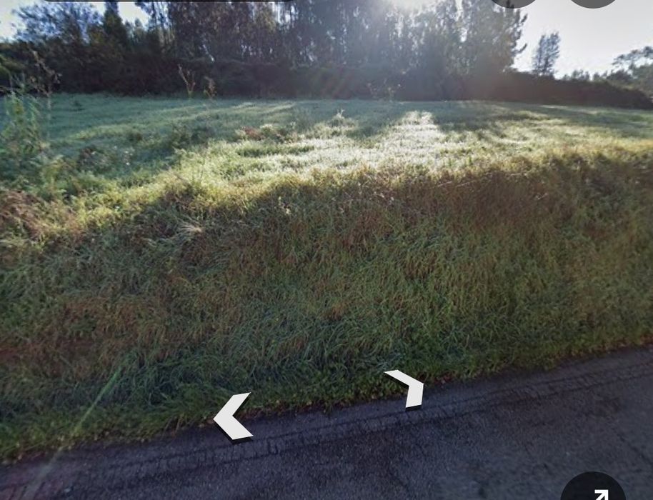 Terreno 5500 M2  São Lourenço do Bairro - Anadia