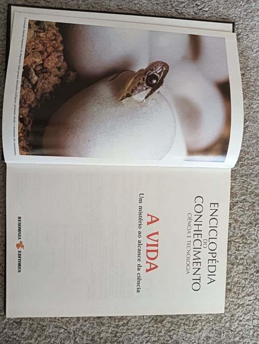 A vida	-	Ardley, Neil; Matthews, Robert  Como novo!