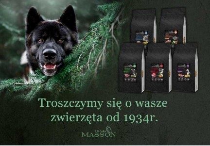 Masson karma dla psa Light & sterylizet Pstrąg & Łosoś, bezbożowa 12 kg