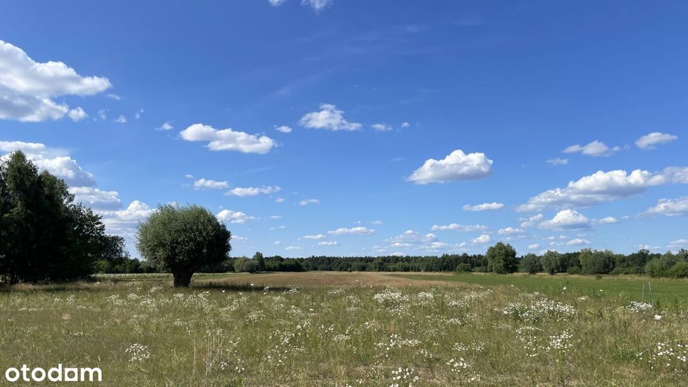Działka budowlana 1000, 1680 m² - Więcej