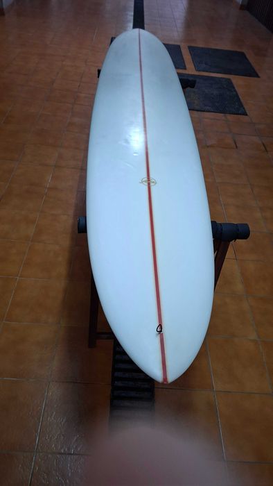 Longboard Aloha 10 pés