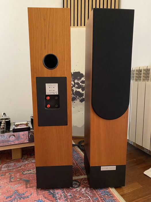 Colunas Living Voice Auditorium R3R