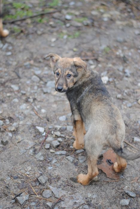 Хлопчики в добрі руки