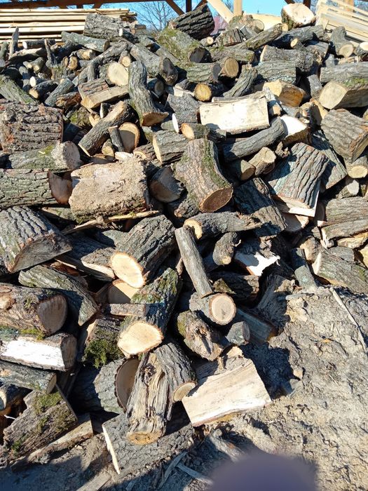 Drewno opałowe Dąb