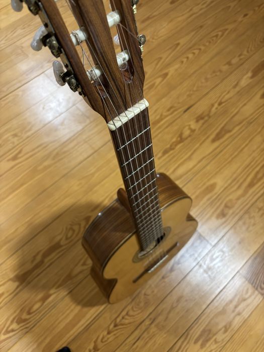 Viola classica Giannini